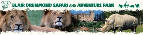 Aventuras en Escocia, Blair Drummond Safari Park and Adventure Park
