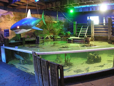 El Aquarium de Saint Andrews