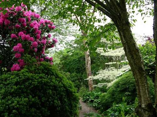 Jardín Branklyn, paisajes majestuosos en Escocia